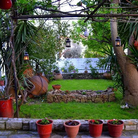 Chouchounikos شقة ليفوكاسترو