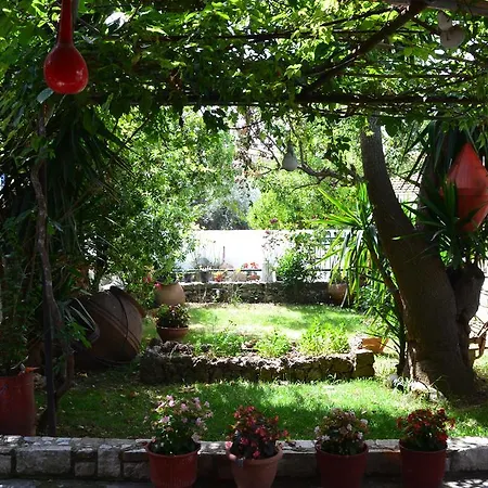 Chouchounikos Apartment